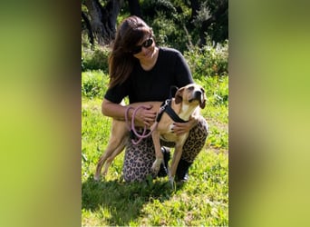 Bachi - ein liebenswerter Schatz