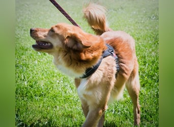 Barro - voller Leben und Herzenswärme