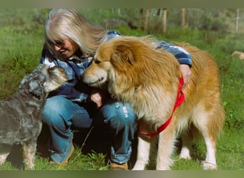 Rolex – anhänglich und aufgeschlossen