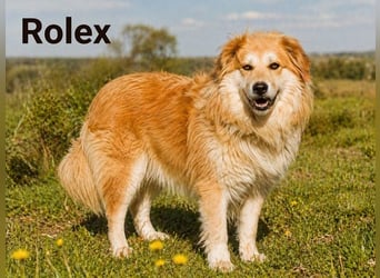 Rolex – anhänglich und aufgeschlossen
