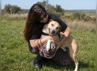 Bachi - ein liebenswerter Schatz