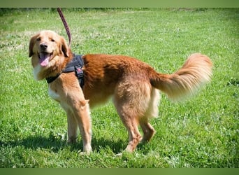 Barro - voller Leben und Herzenswärme