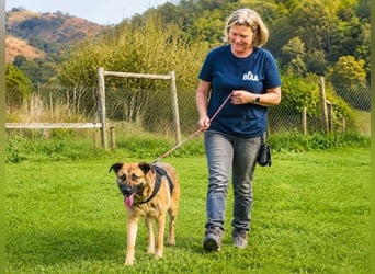 Portos - sanfter Freund sucht Vertrauen