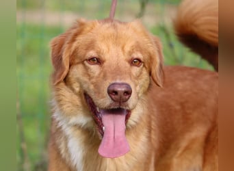 Barro - voller Leben und Herzenswärme