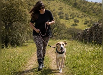 Bachi - ein liebenswerter Schatz