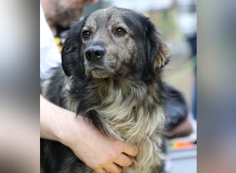 Ein großes Herz namens Sam....