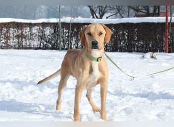 Tim sucht seine Menschen...