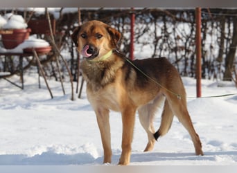 Janni sucht sein zu Hause...