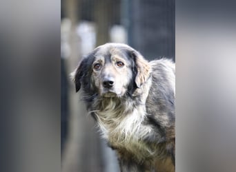 Ein großes Herz namens Sam....