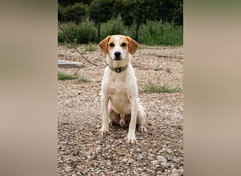 Tucker sucht seine Familie...
