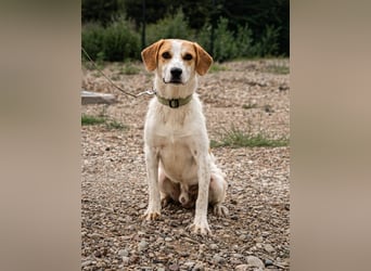 Tucker sucht seine Familie...