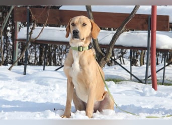 Tim sucht seine Menschen...