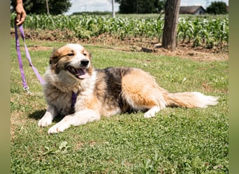 Sunshine unser Sonnenschein ,..