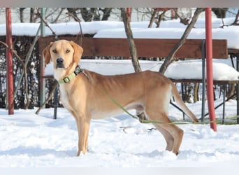 Tim sucht seine Menschen...