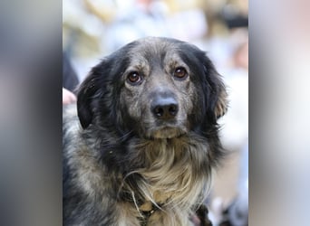 Ein großes Herz namens Sam....