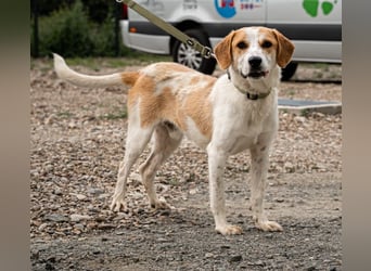 Tucker sucht seine Familie...