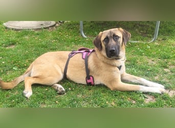 Naomi der sanfte Engel