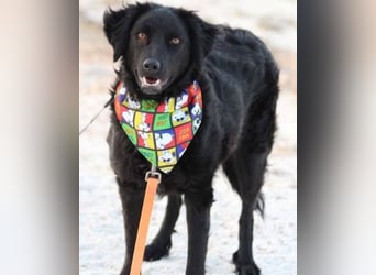 Noa ❤️ freundlich + super aufgeschlossen!