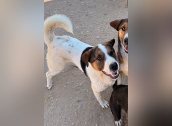 Maxima ❤️ verspielt, aktiv, verschmust!
