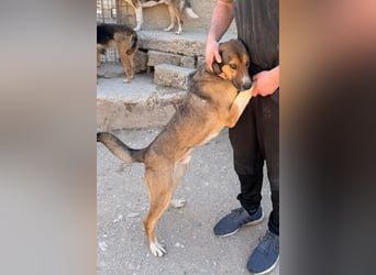 Dave möchte endlich seine Koffer packen