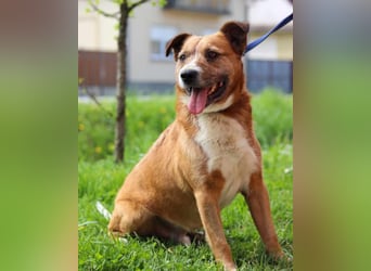 Floki ❤️ freundlich & so menschenbezogen