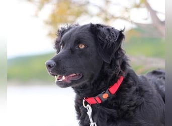 Noa ❤️ freundlich + super aufgeschlossen!