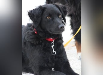 Noa ❤️ freundlich + super aufgeschlossen!