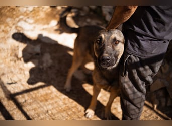 CharmingBoy ♥Luis♥ liebenswertes Fellherz