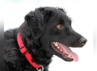 Noa ❤️ freundlich + super aufgeschlossen!