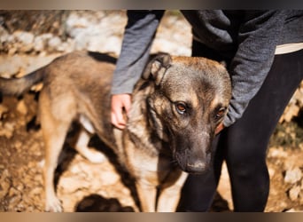 CharmingBoy ♥Luis♥ liebenswertes Fellherz