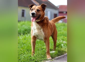 Floki ❤️ freundlich & so menschenbezogen