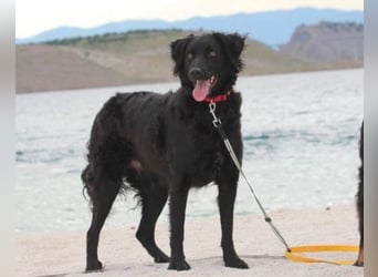 Noa ❤️ freundlich + super aufgeschlossen!