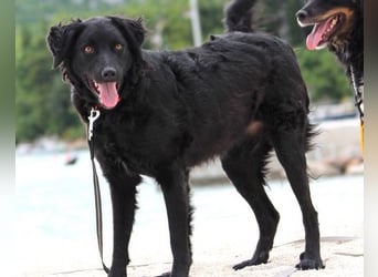 Noa ❤️ freundlich + super aufgeschlossen!