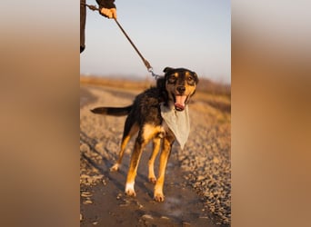 Schatz Teri: sehr freundlicher Gefährte