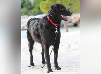 Noa ❤️ freundlich + super aufgeschlossen!