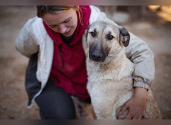 ♥Fly♥ eine herzliche, treue Fellfreundin