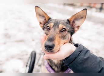 Besondere Miranda sucht ihre Menschen