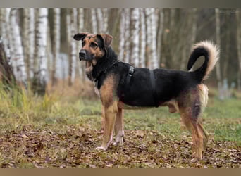 Wunderbarer Dar sucht seine Menschen