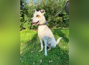 Nofall-Vermittlung für Murphy