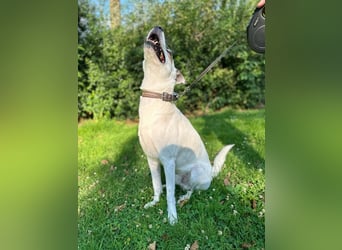 Nofall-Vermittlung für Murphy