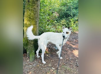 Nofall-Vermittlung für Murphy