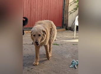 Kuschelige Riane wartet in 97724 Burglauer auf Besuch