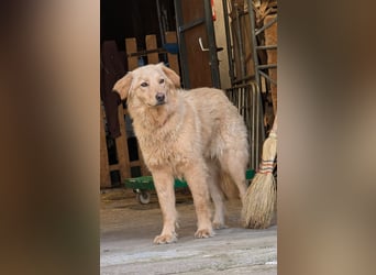 Kuschelige Riane wartet in 97724 Burglauer auf Besuch