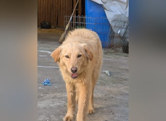 Kuschelige Riane wartet in 97724 Burglauer auf Besuch