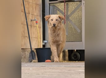 Kuschelige Riane wartet in 97724 Burglauer auf Besuch