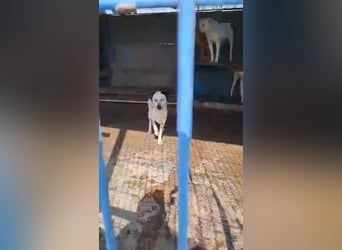 Lina, die, die leise hofft...