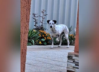 Lina, die, die leise hofft...