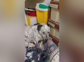 Lina, die, die leise hofft...