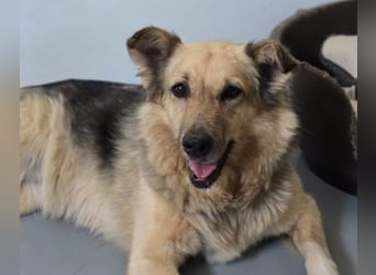 Alicia wartet sehnsüchtig auf ihre Menschen