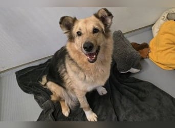 verschmuste, sanfte Alicia sucht liebevolle Menschen